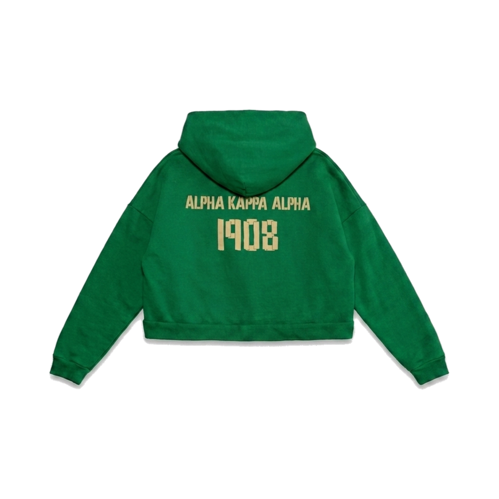 Alpha Kappa Alpha ΑΚΑ heavyweight hoodie, back — AGVPE Studios