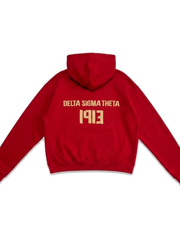 Delta Sigma Theta ΔΣΘ heavyweight hoodie, back — AGVPE Studios