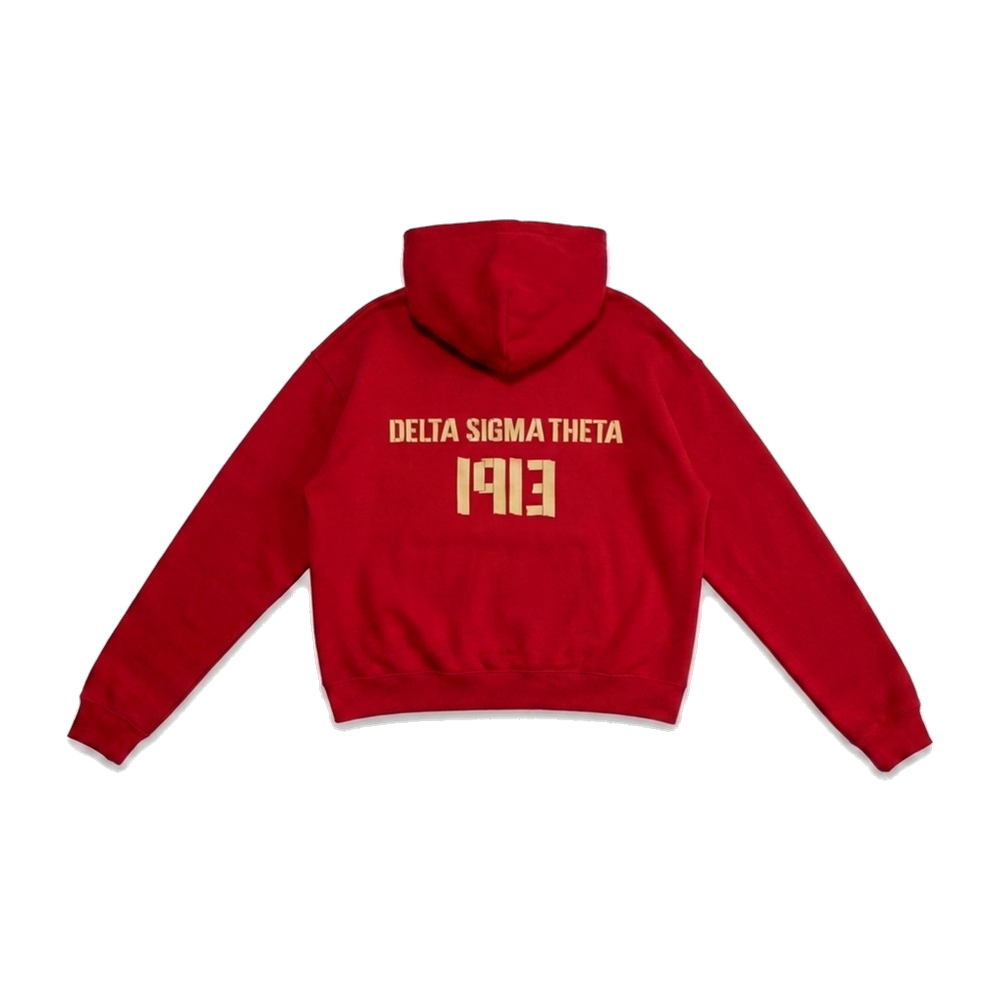 Delta Sigma Theta ΔΣΘ heavyweight hoodie, back — AGVPE Studios