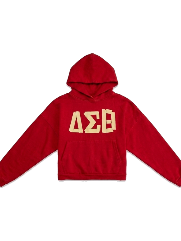 Delta Sigma Theta ΔΣΘ heavyweight hoodie, front — AGVPE Studios