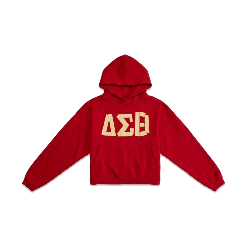 Delta Sigma Theta ΔΣΘ heavyweight hoodie, front — AGVPE Studios