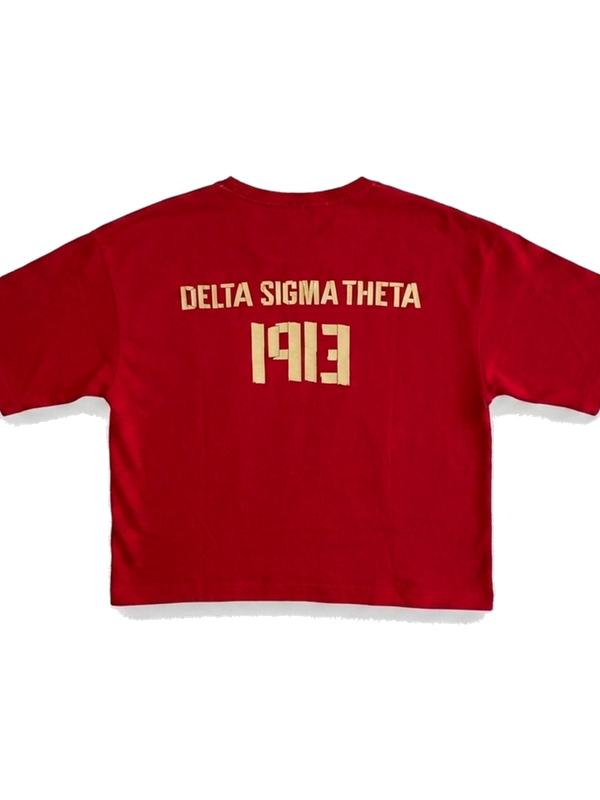 Delta Sigma Theta ΔΣΘ premium tee, back — AGVPE Studios