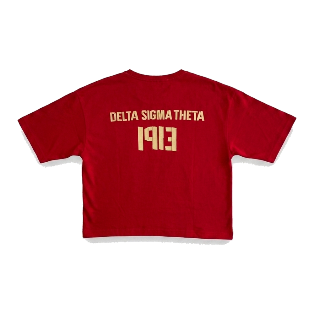 Delta Sigma Theta ΔΣΘ premium tee, back — AGVPE Studios
