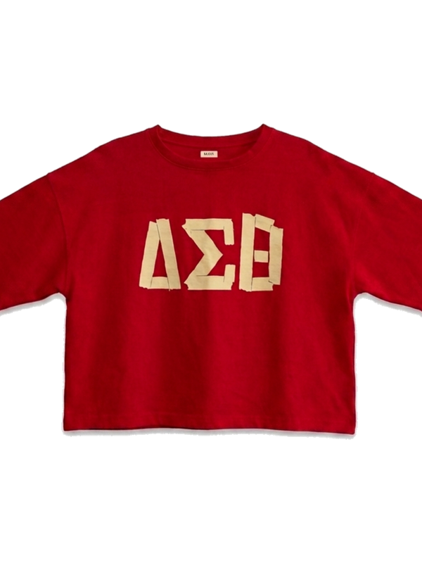 Delta Sigma Theta ΔΣΘ premium tee, front — AGVPE Studios