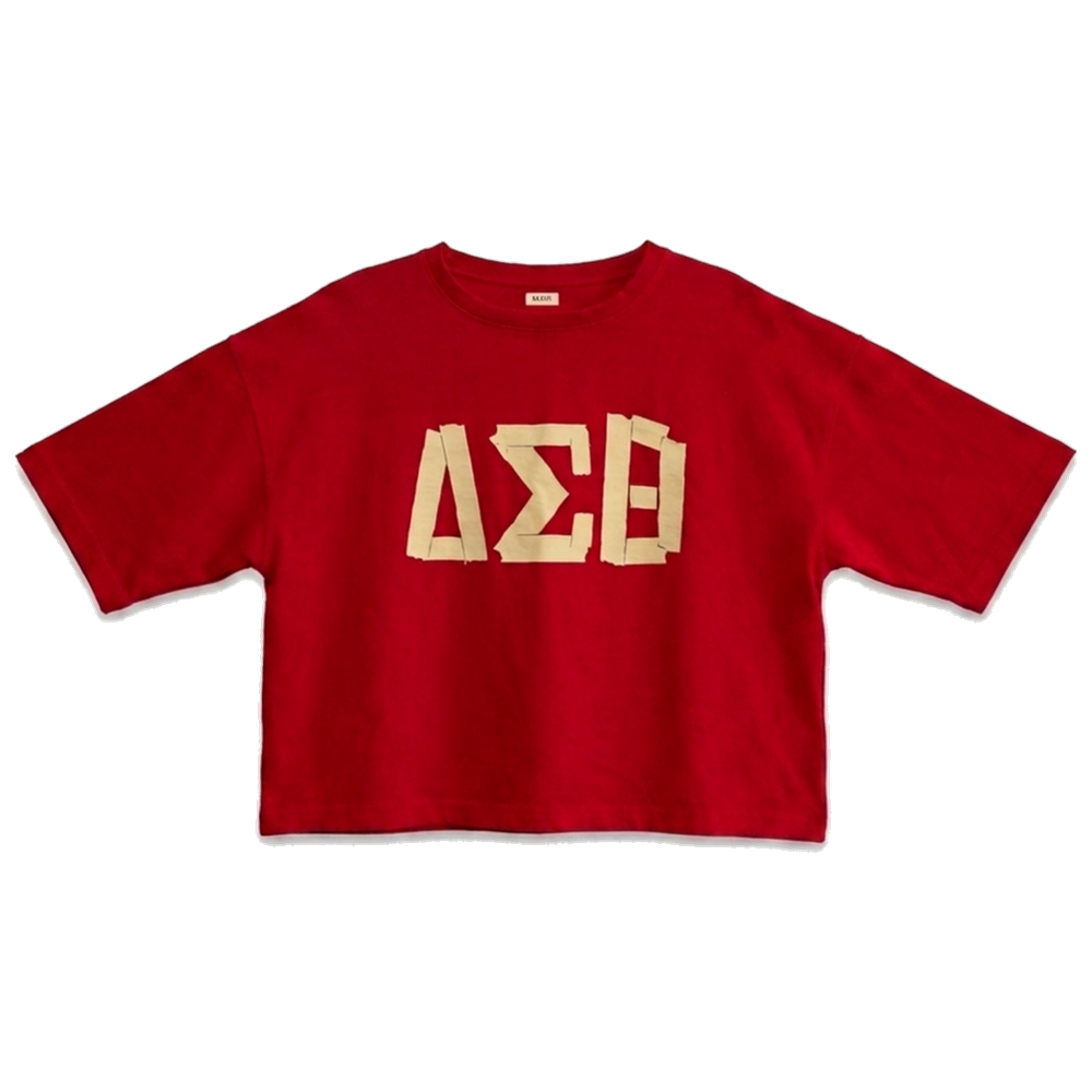 Delta Sigma Theta ΔΣΘ premium tee, front — AGVPE Studios