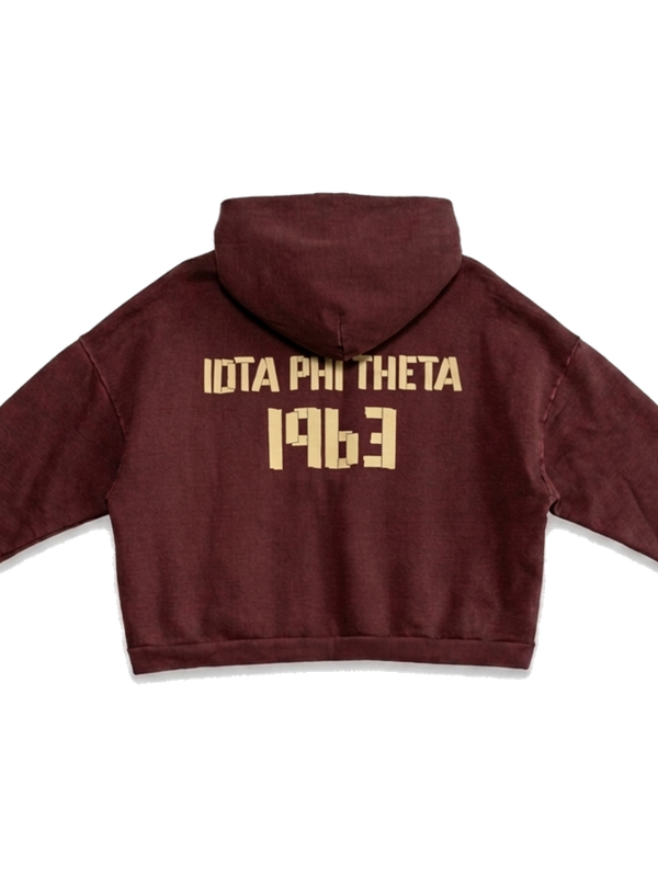 Iota Phi Theta ΙΦΘ heavyweight hoodie, back — AGVPE Studios