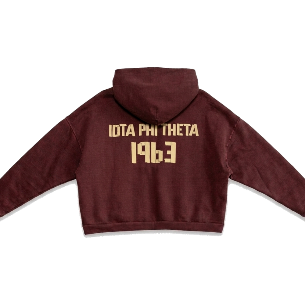 Iota Phi Theta ΙΦΘ heavyweight hoodie, back — AGVPE Studios