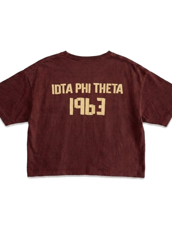 Iota Phi Theta ΙΦΘ premium tee, back — AGVPE Studios