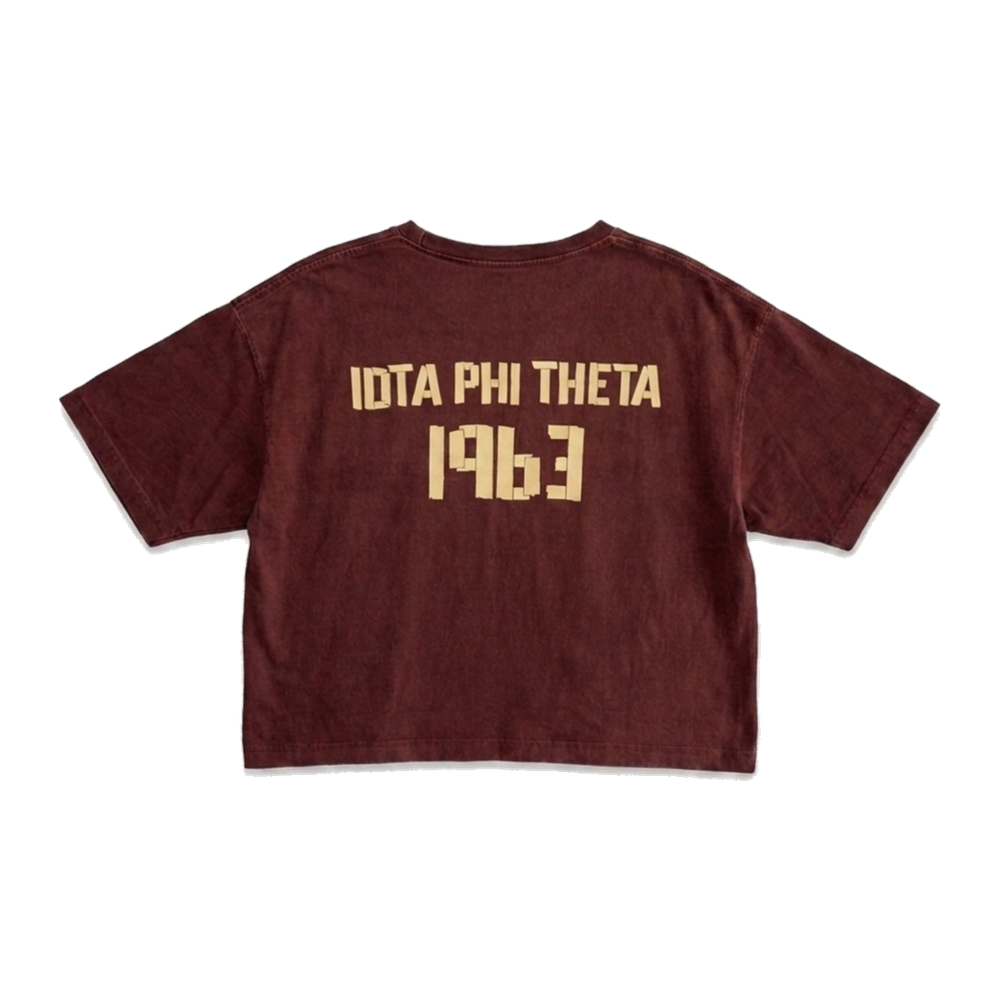 Iota Phi Theta ΙΦΘ premium tee, back — AGVPE Studios