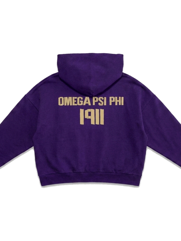 Omega Psi Phi ΩΨΦ heavyweight hoodie, back — AGVPE Studios