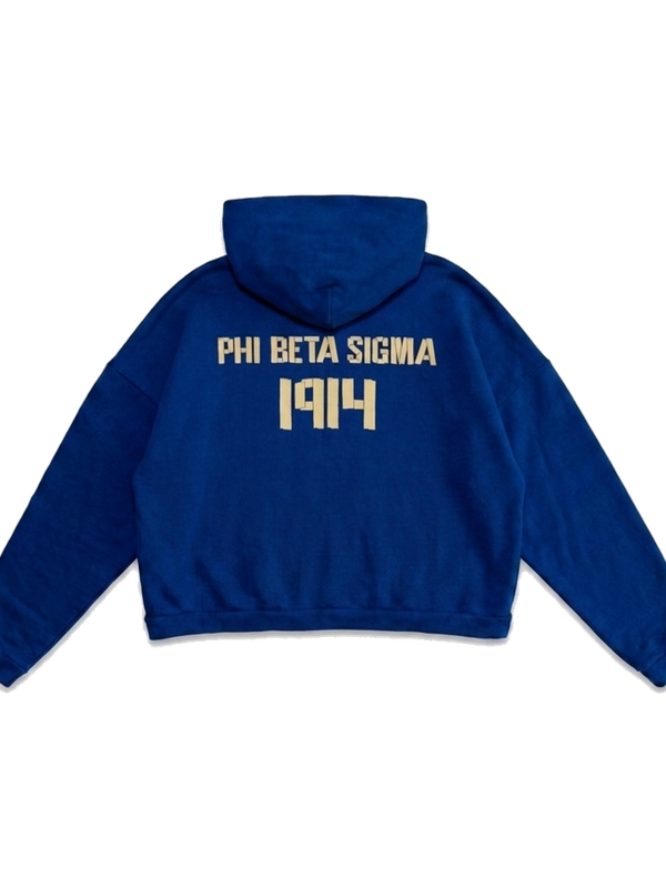 Phi Beta Sigma ΦΒΣ heavyweight hoodie, back — AGVPE Studios