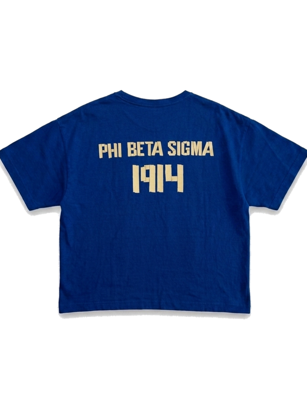Phi Beta Sigma ΦΒΣ premium tee, back — AGVPE Studios