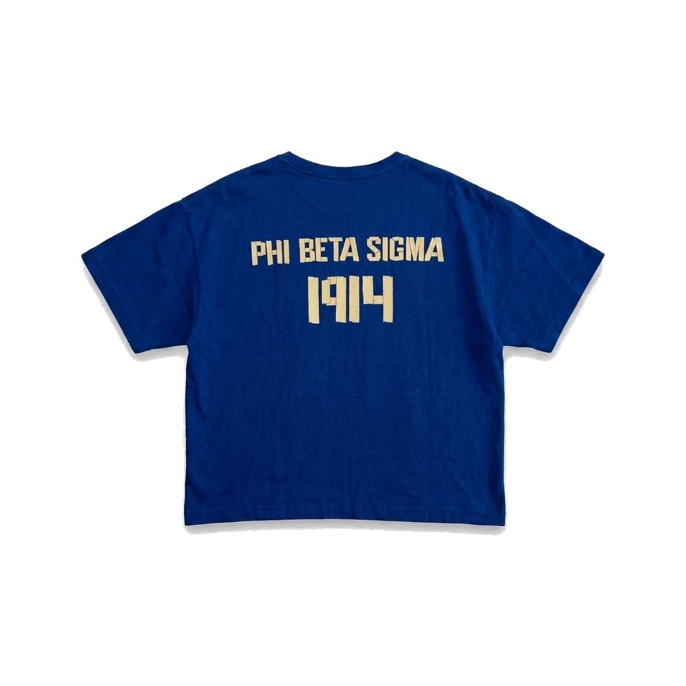 Phi Beta Sigma ΦΒΣ premium tee, back — AGVPE Studios