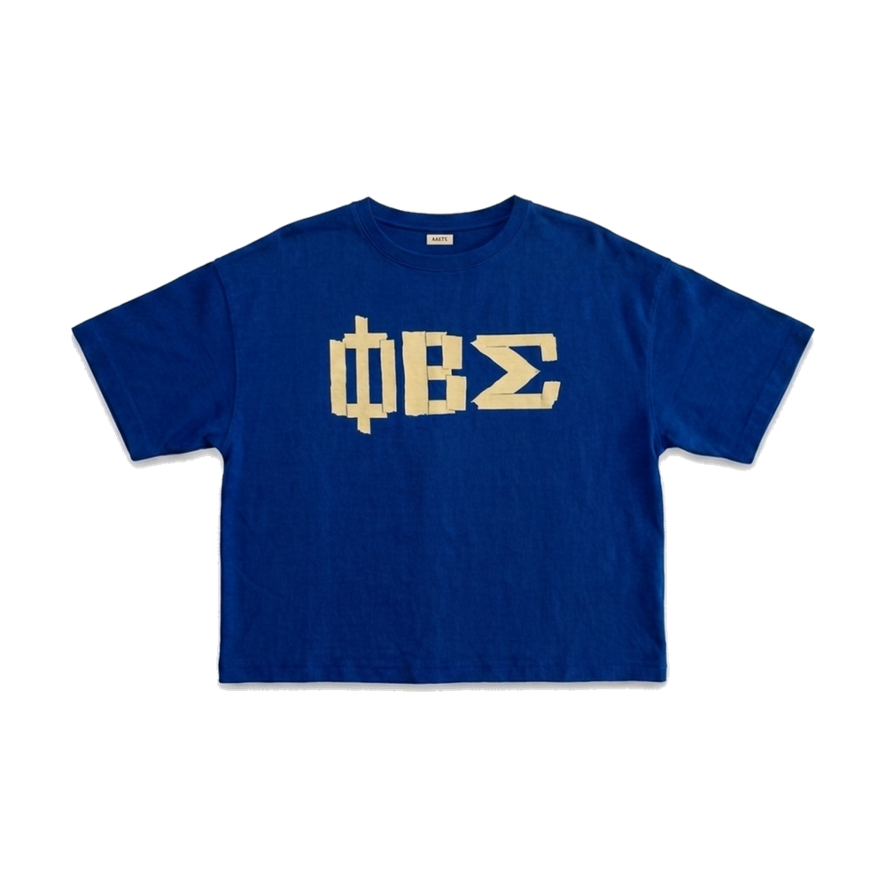 Phi Beta Sigma ΦΒΣ premium tee, front — AGVPE Studios
