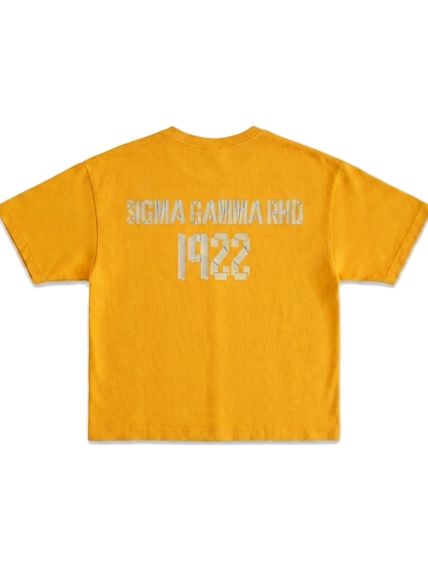 Sigma Gamma Rho ΣΓΡ premium tee, back — AGVPE Studios