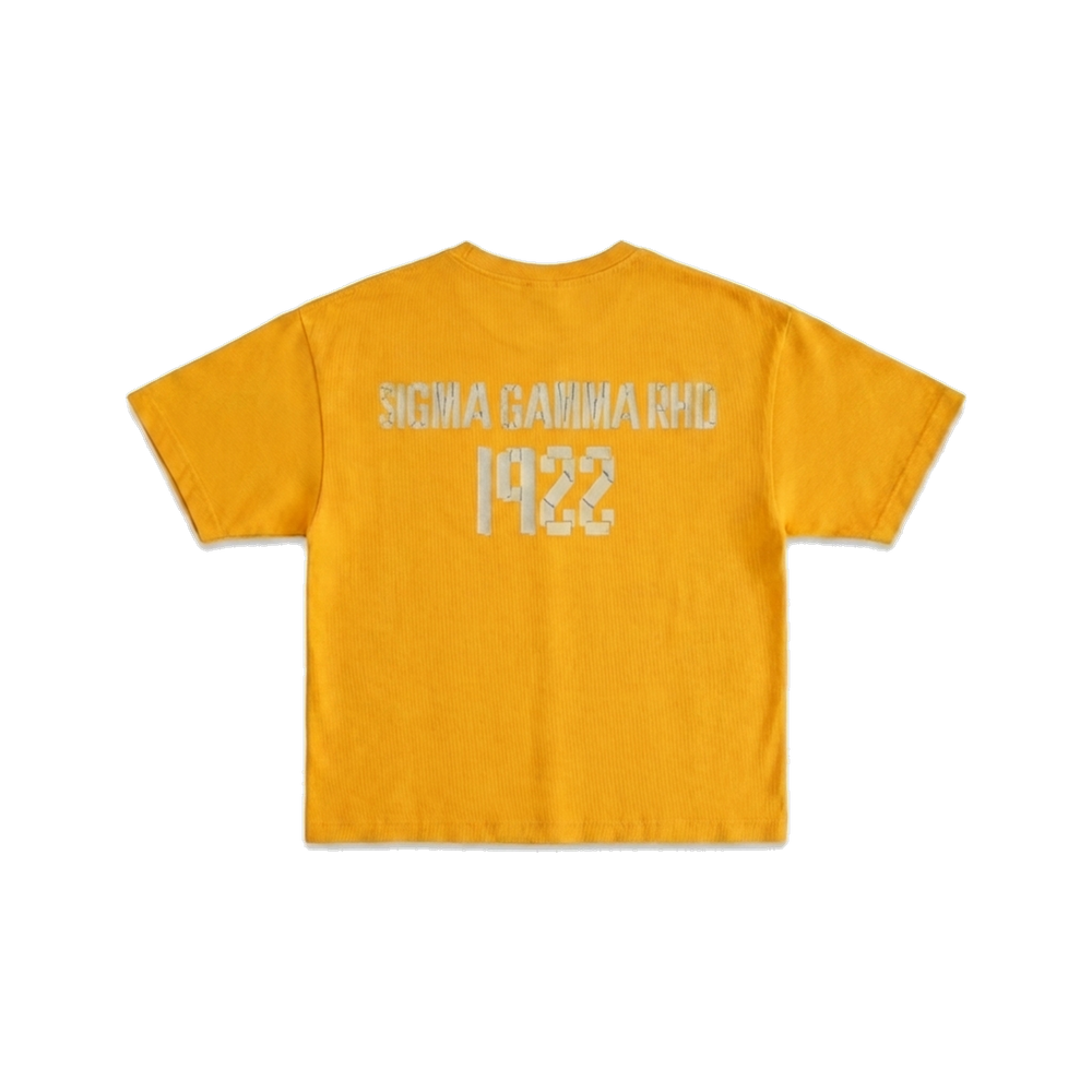 Sigma Gamma Rho ΣΓΡ premium tee, back — AGVPE Studios