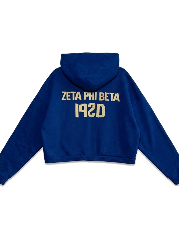 Zeta Phi Beta ΖΦΒ heavyweight hoodie, back — AGVPE Studios