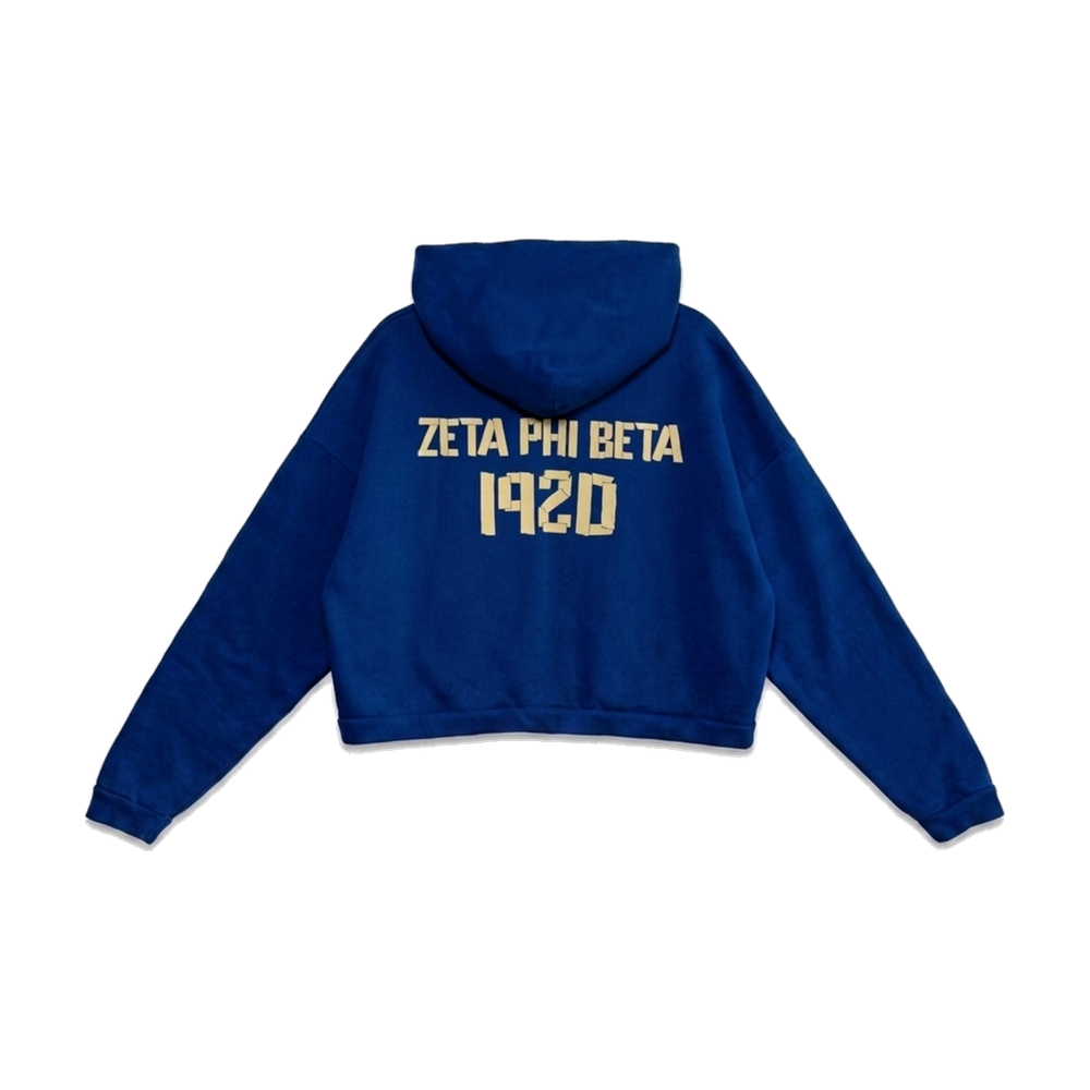 Zeta Phi Beta ΖΦΒ heavyweight hoodie, back — AGVPE Studios